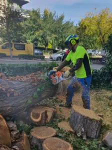 Tronzado de restos de tala controlada