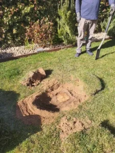 Destoconado de jardín